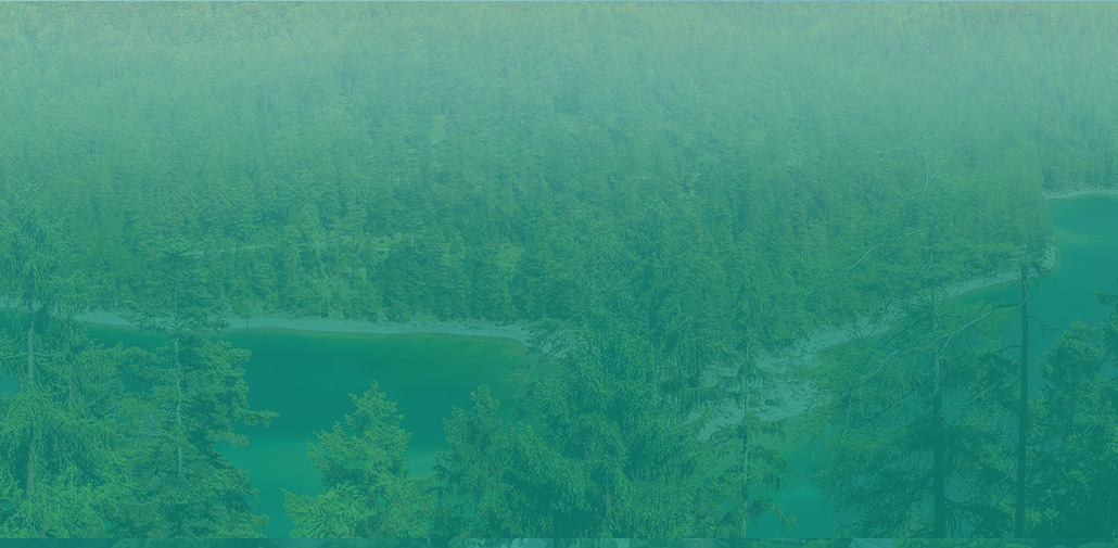 ��ɳ���鳡5555199vip(�й���)�ٷ���վ